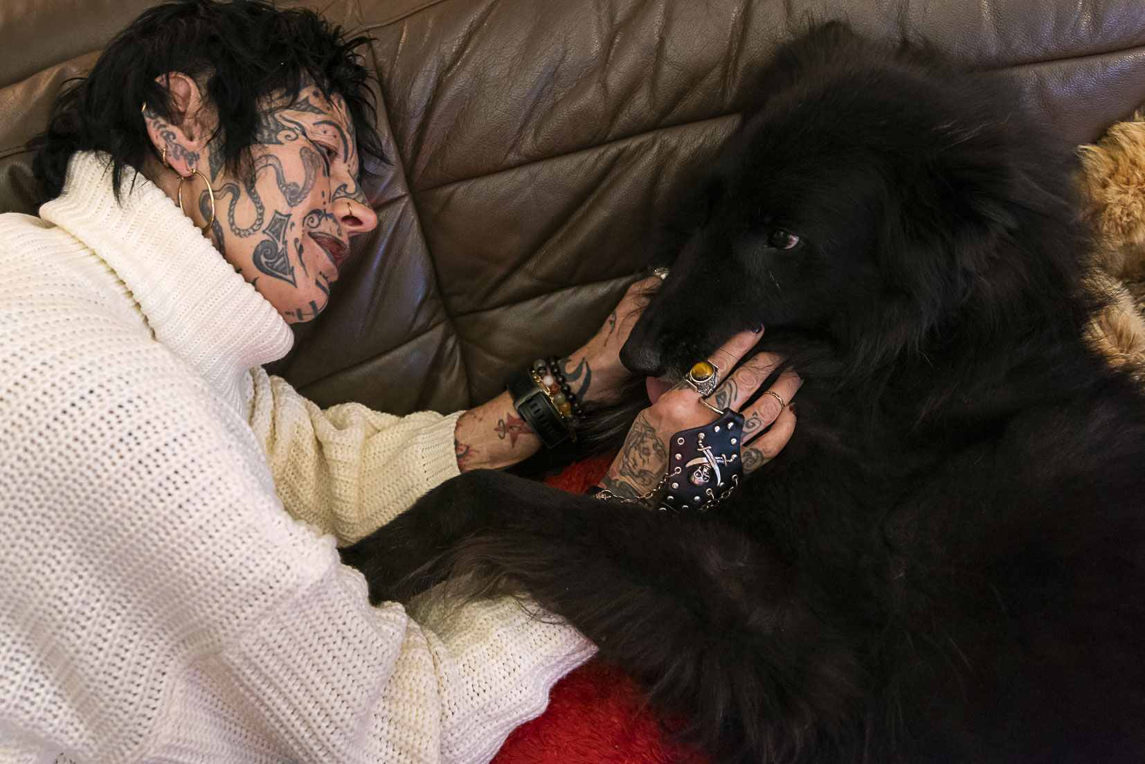 photographie Daniel Michelon