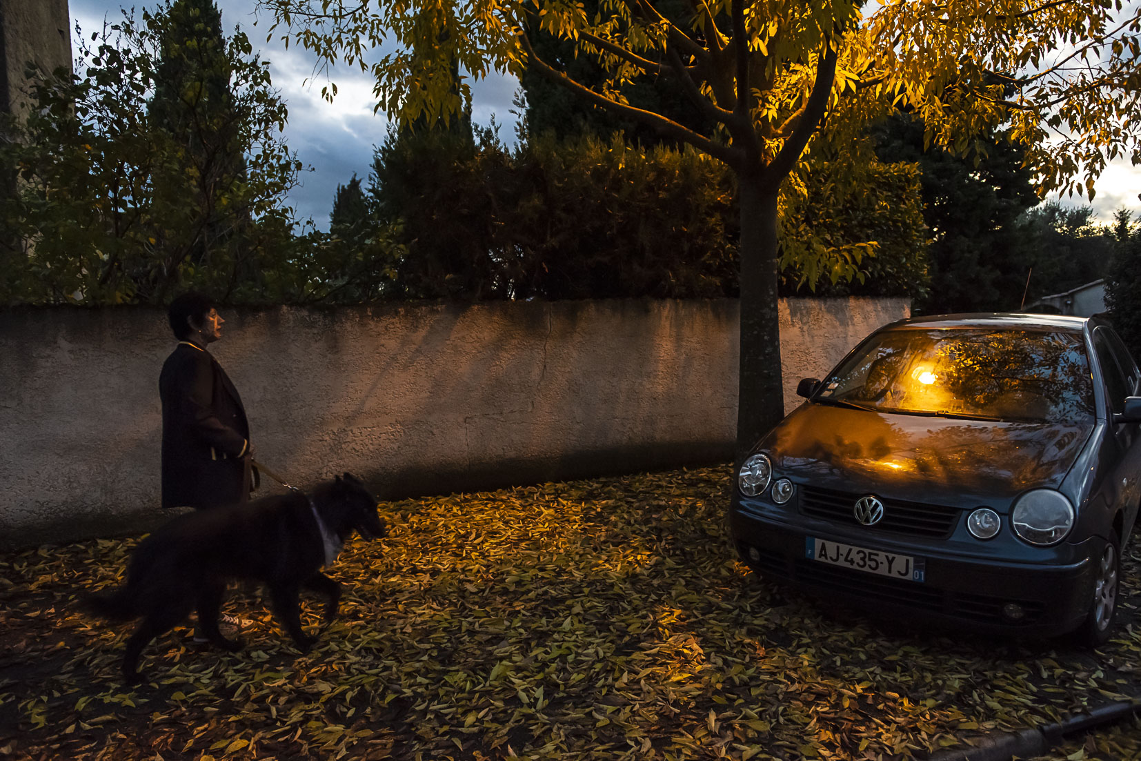 photographie Daniel Michelon