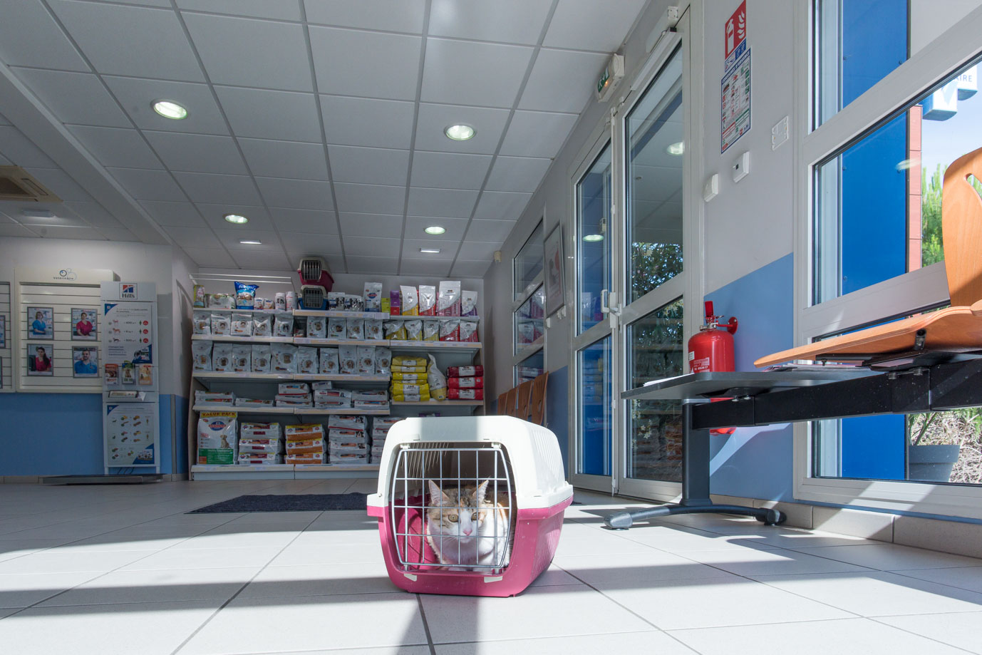 photographie Daniel Michelon