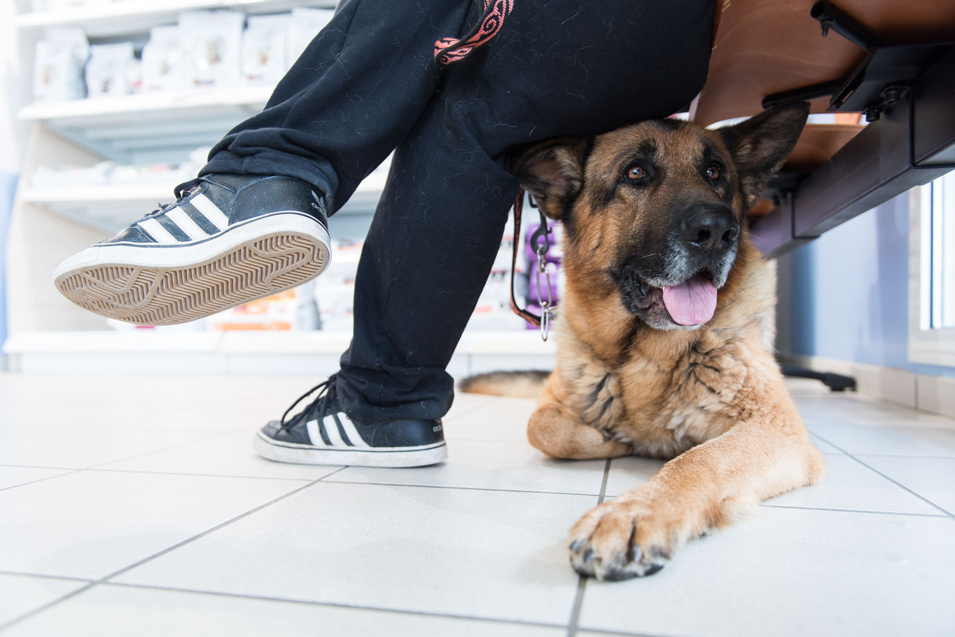 photographie Daniel Michelon