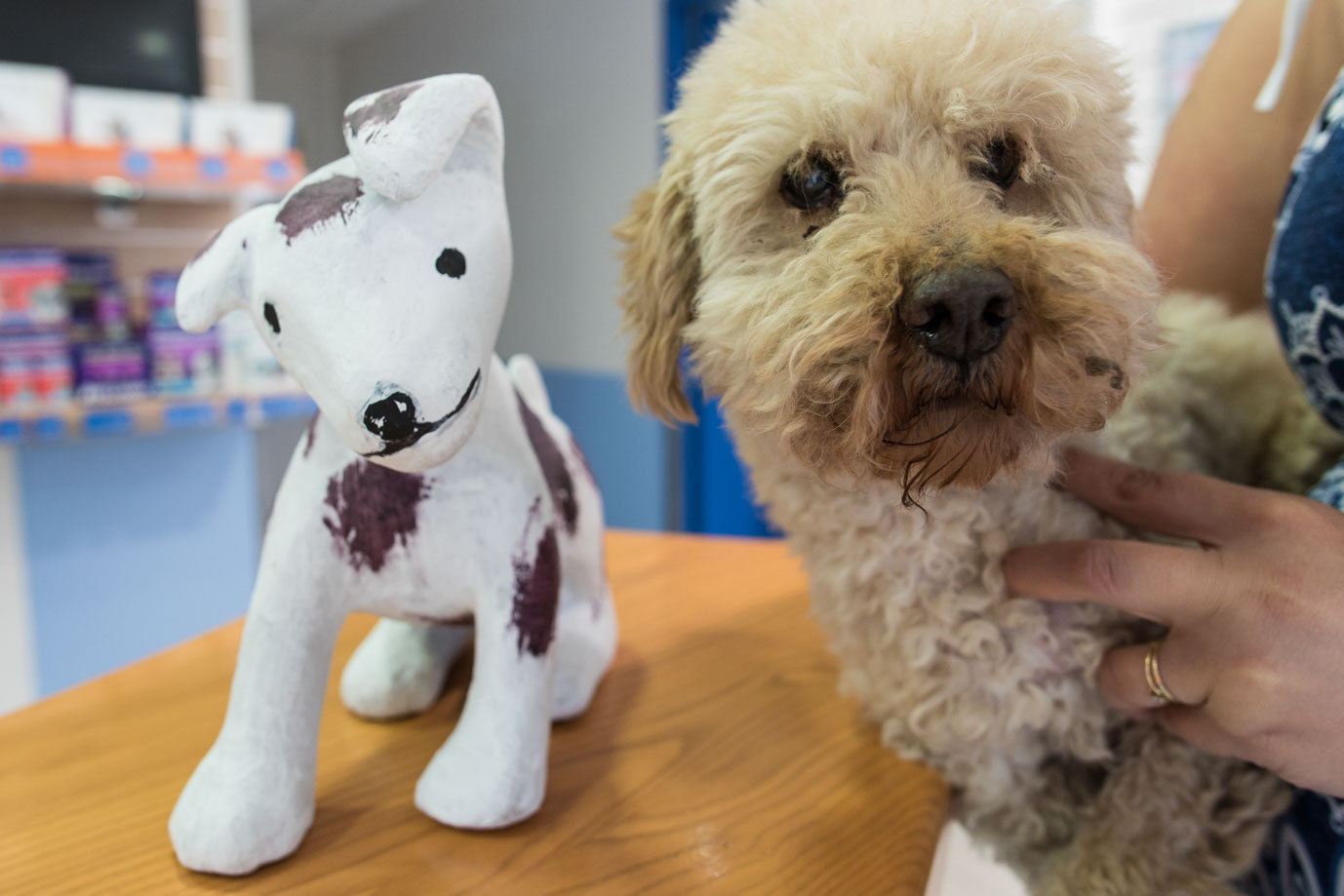 photographie Daniel Michelon