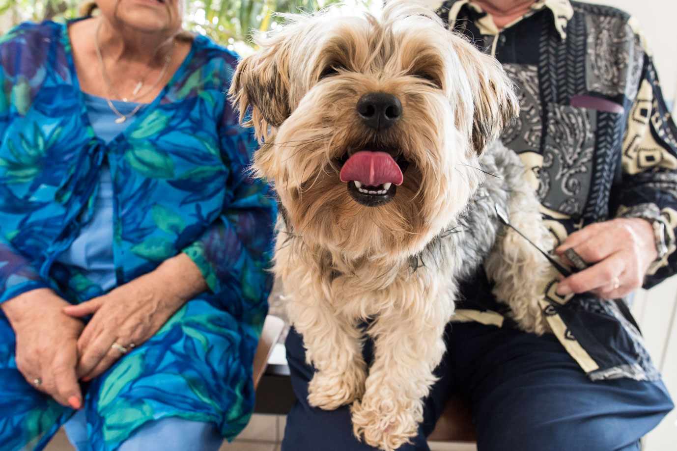 photographie Daniel Michelon