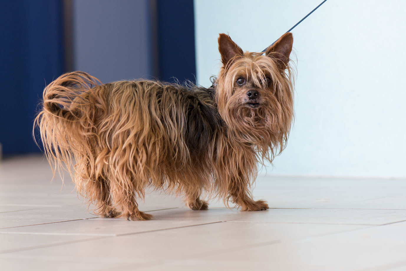 photographie Daniel Michelon