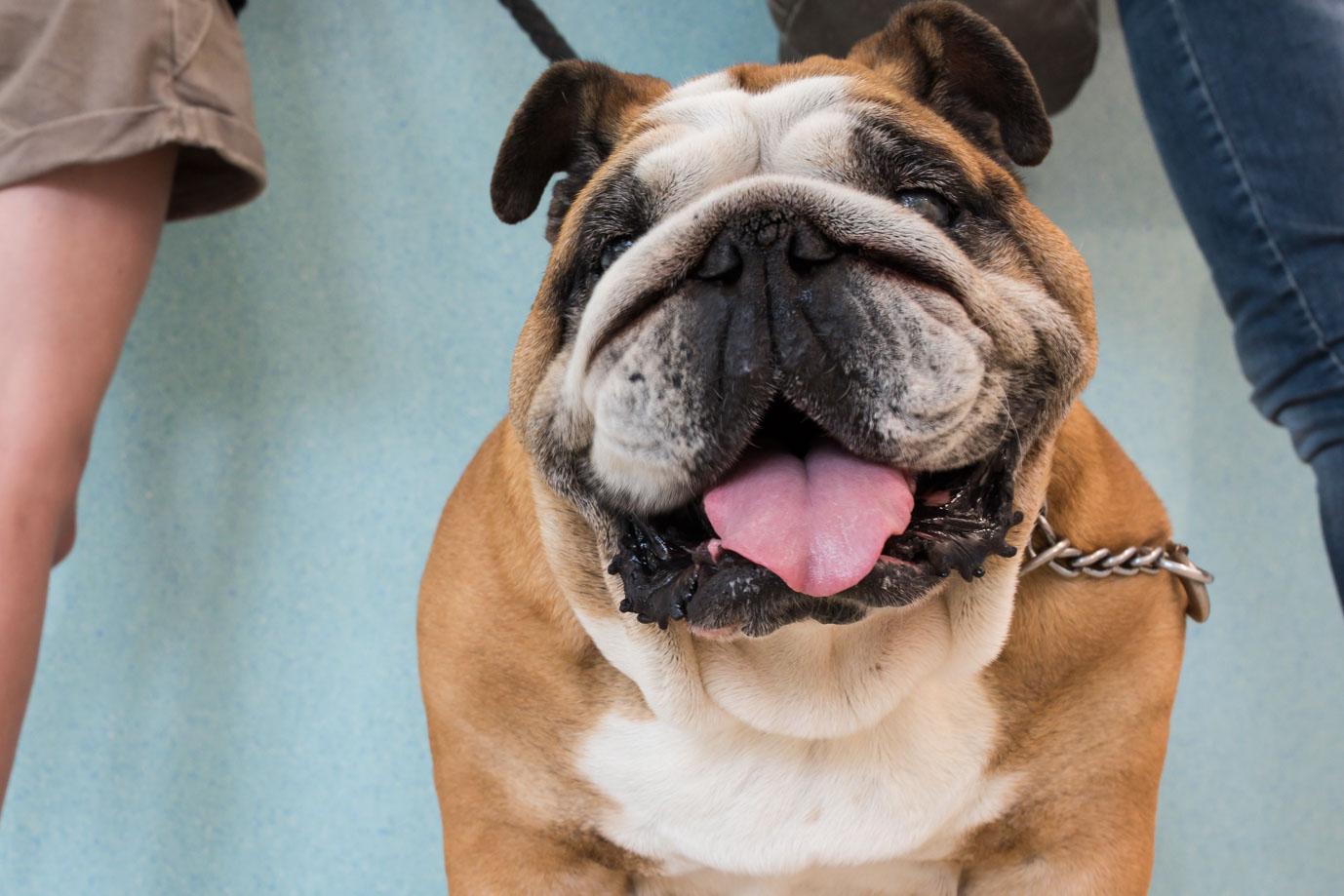 photographie Daniel Michelon