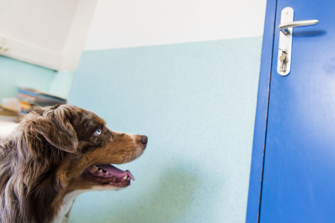 photographie Daniel Michelon