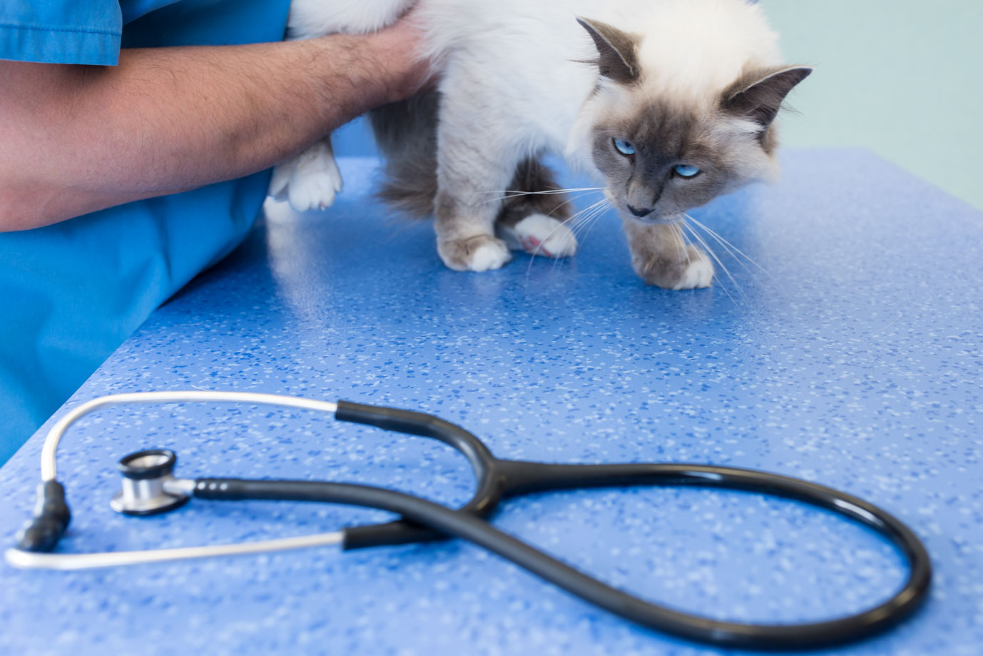 photographie Daniel Michelon