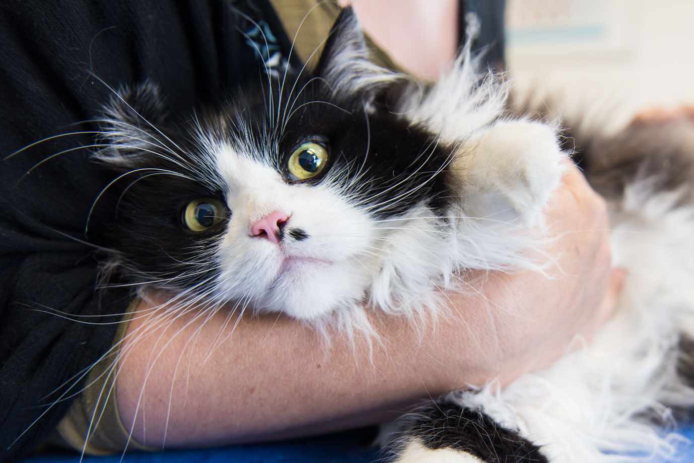 photographie Daniel Michelon