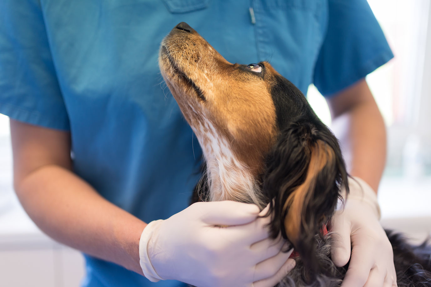 photographie Daniel Michelon