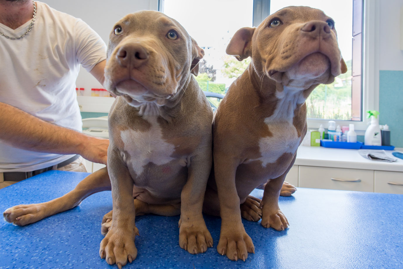 photographie Daniel Michelon