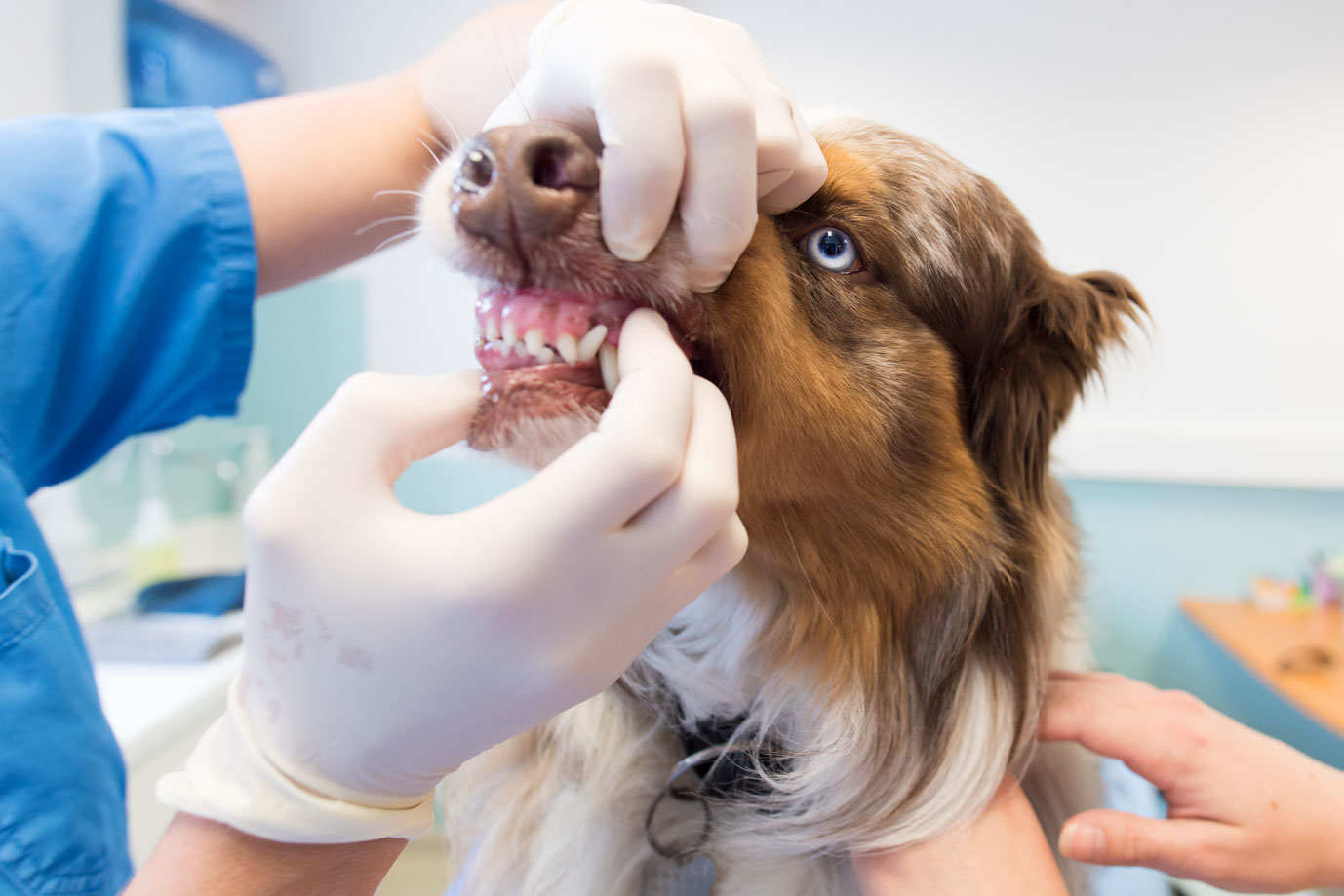 photographie Daniel Michelon