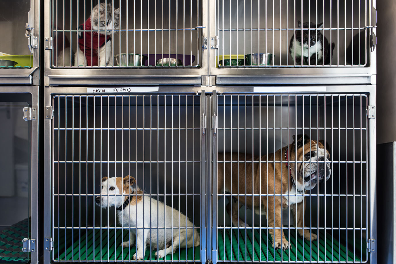 photographie Daniel Michelon