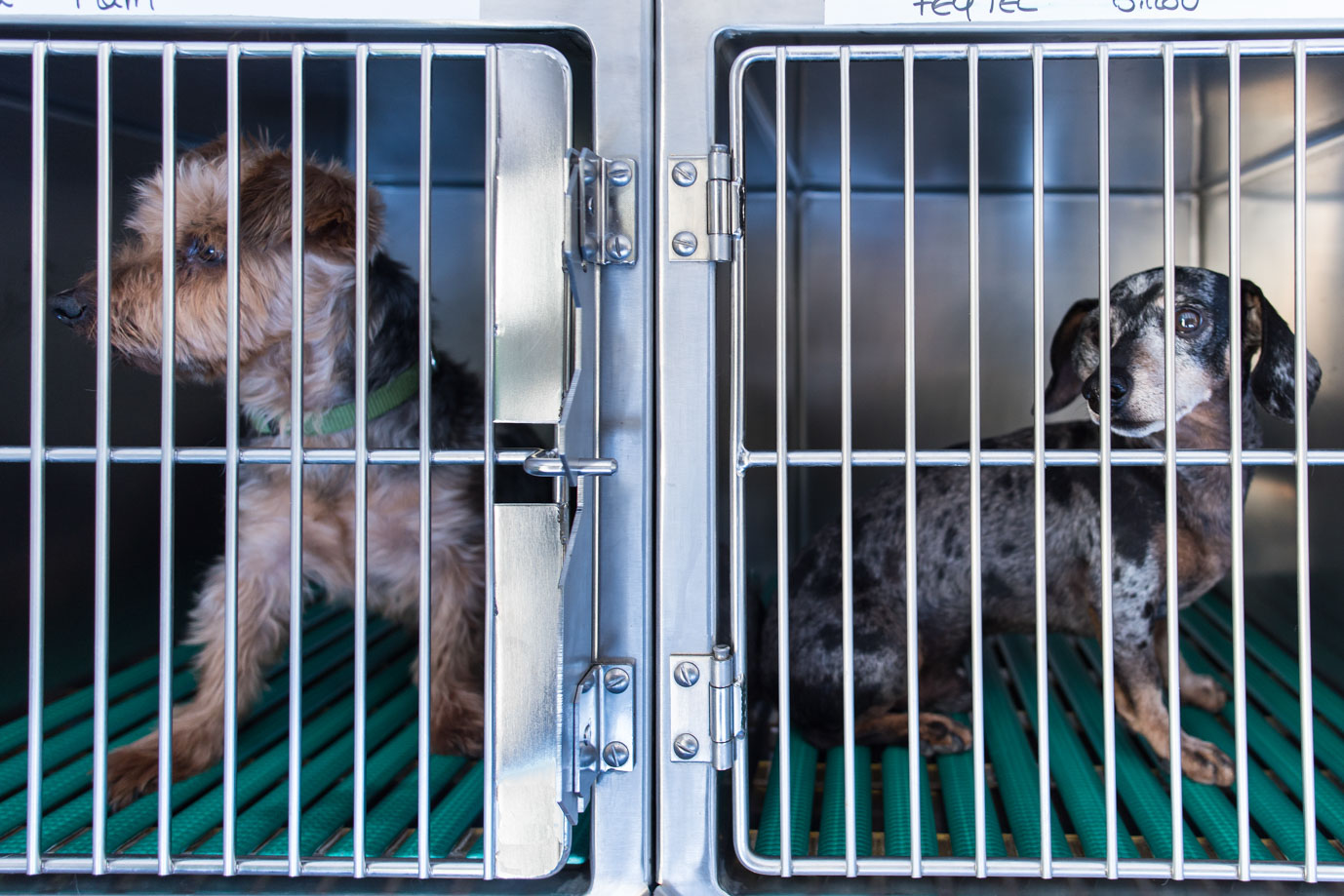 photographie Daniel Michelon