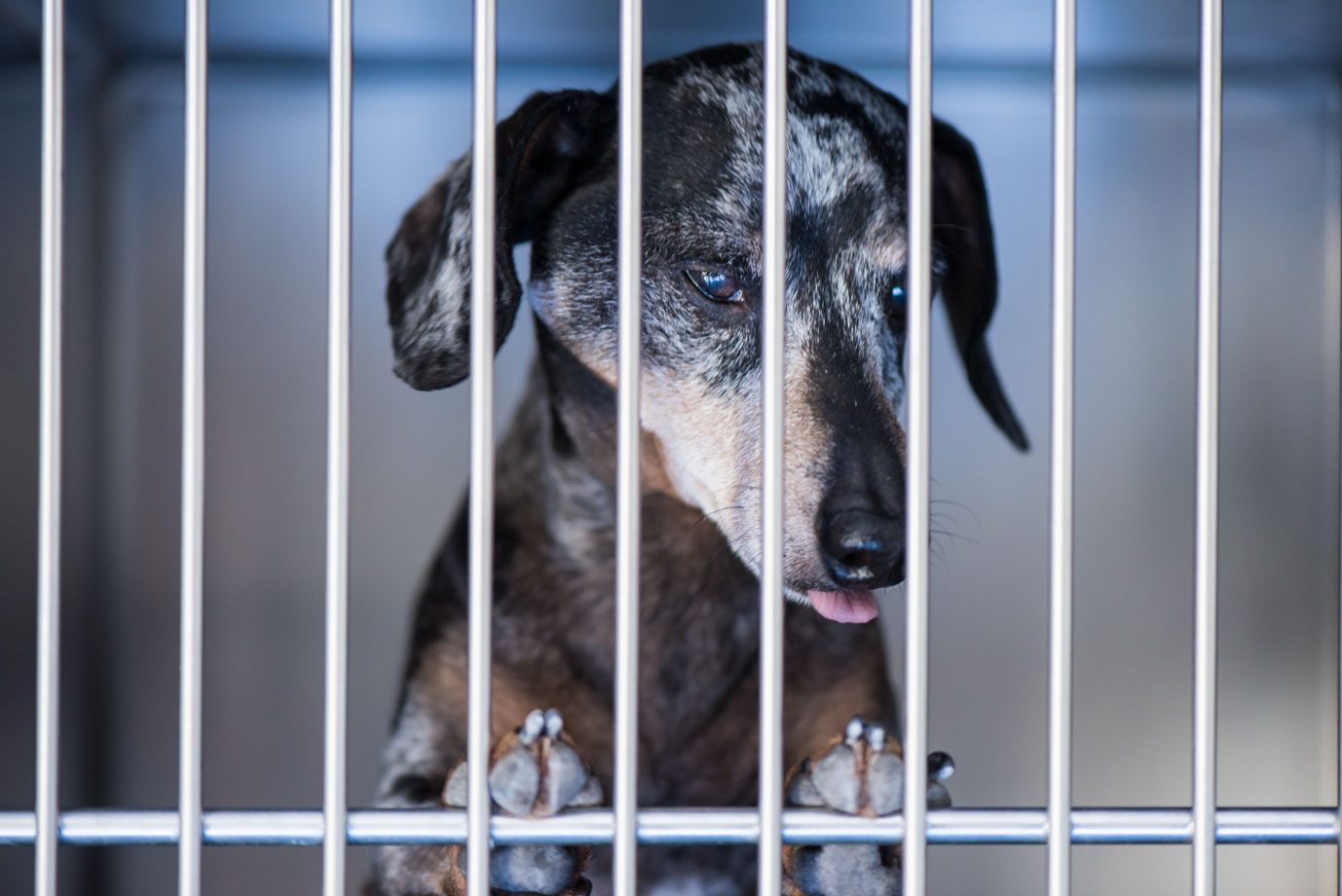 photographie Daniel Michelon