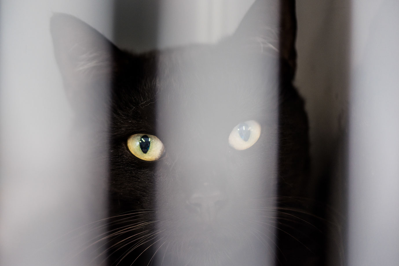 photographie Daniel Michelon