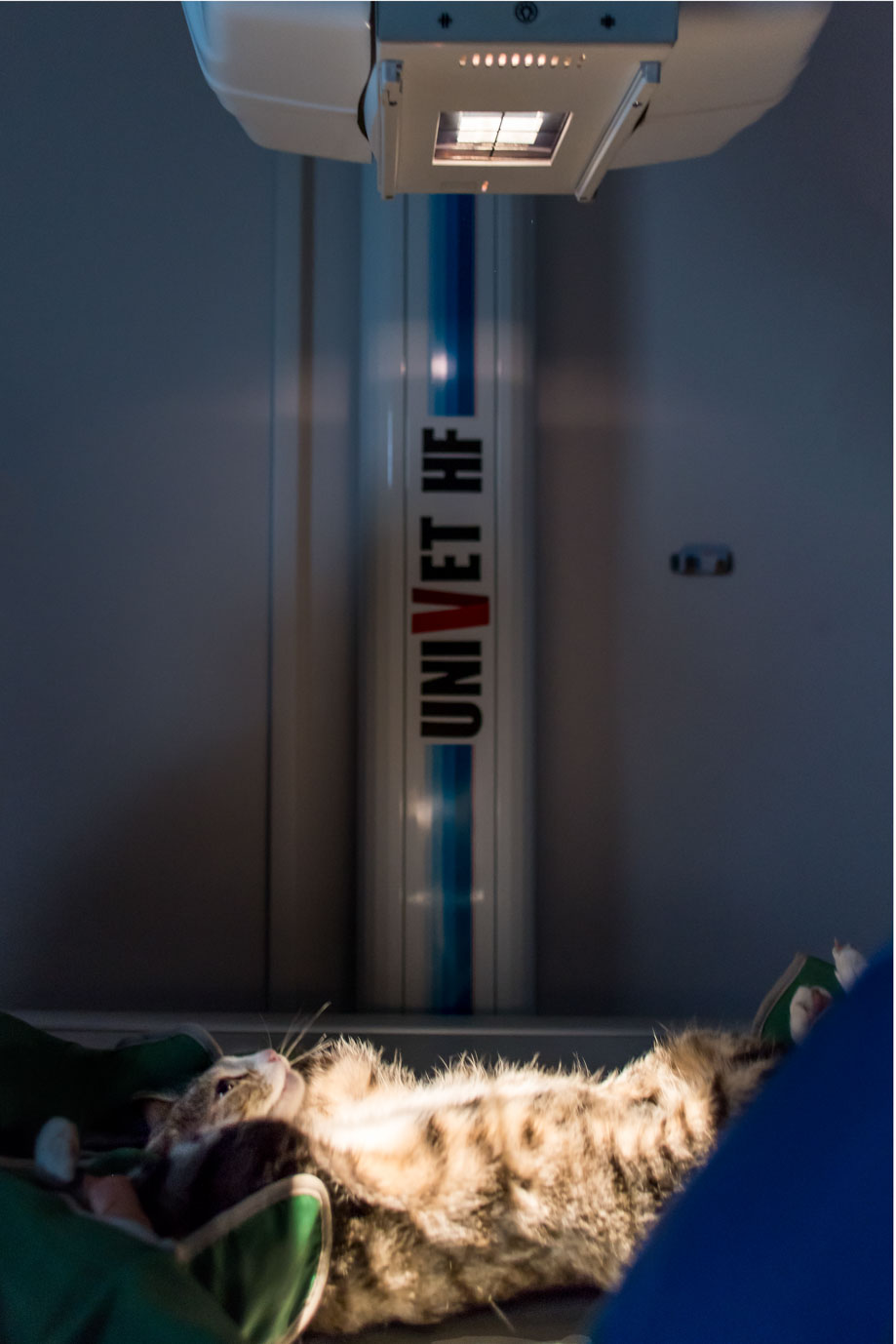 photographie Daniel Michelon