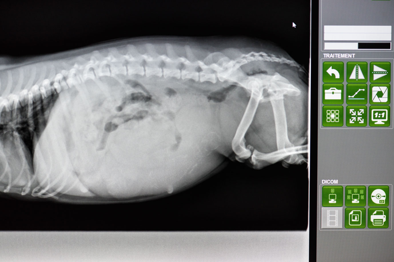 photographie Daniel Michelon