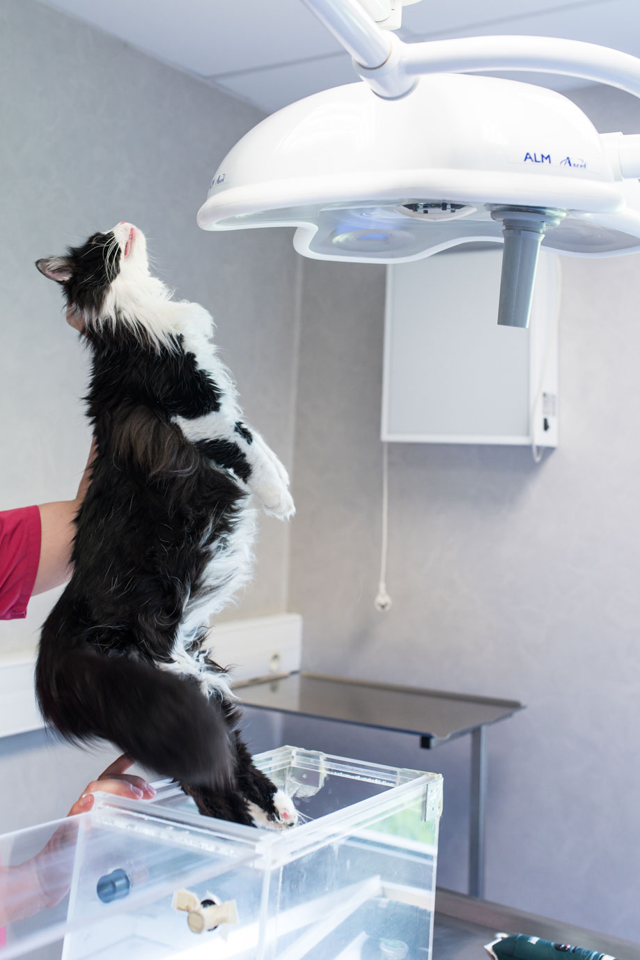 photographie Daniel Michelon