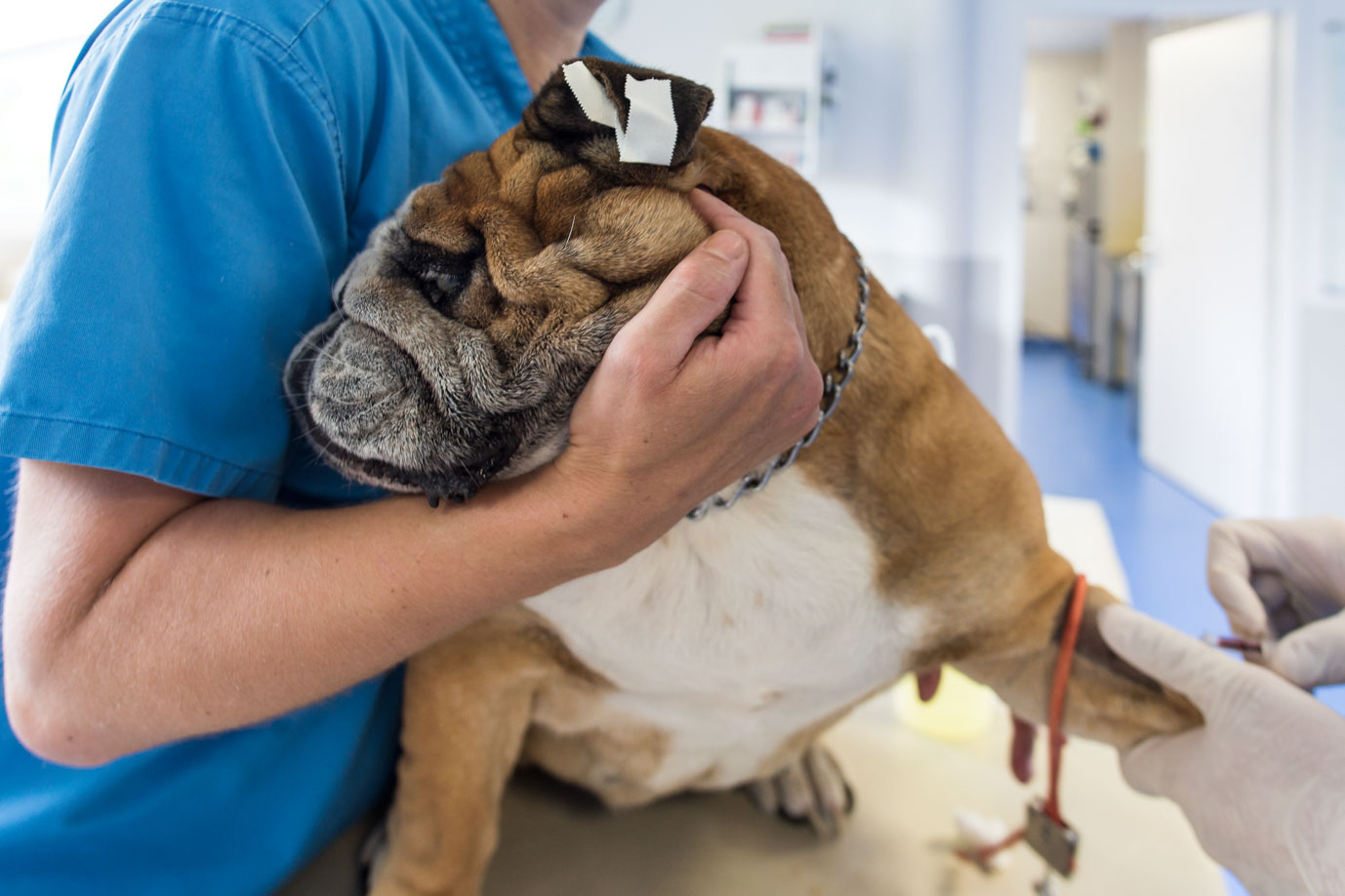 photographie Daniel Michelon