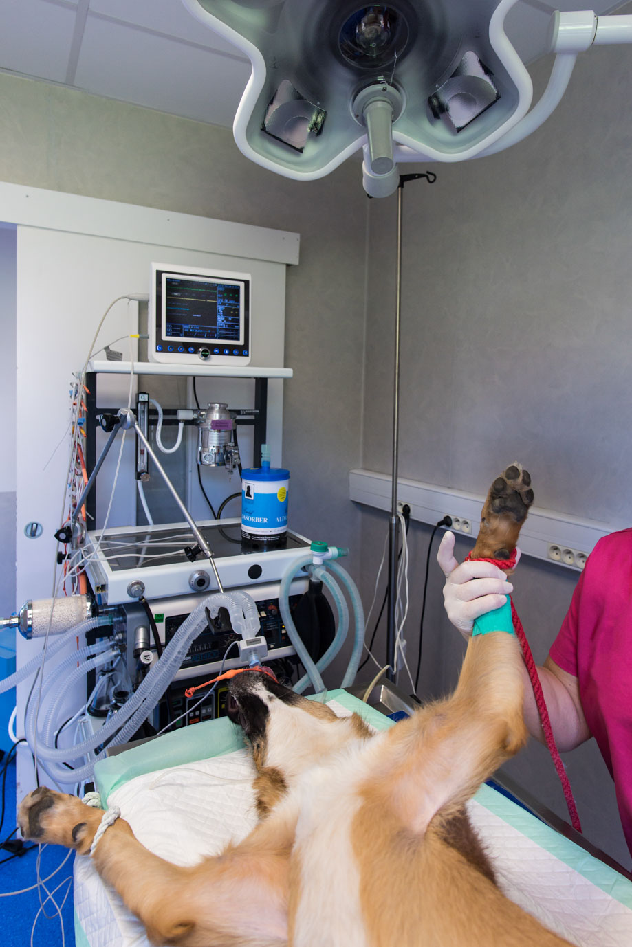 photographie Daniel Michelon