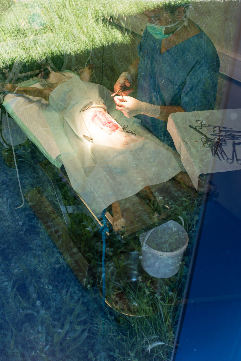 photographie Daniel Michelon