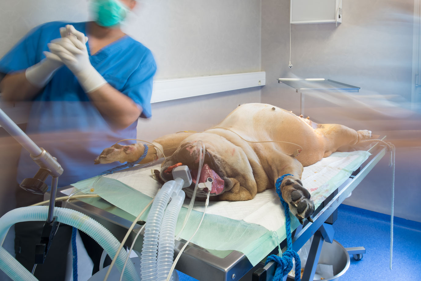 photographie Daniel Michelon