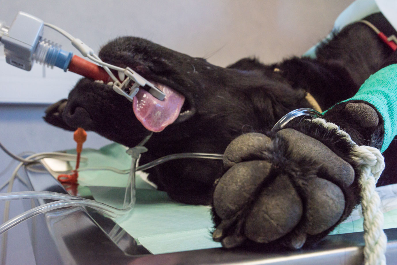 photographie Daniel Michelon