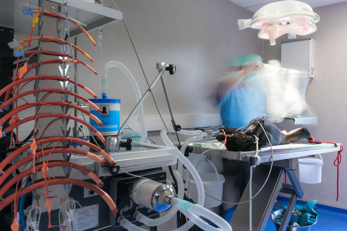 photographie Daniel Michelon