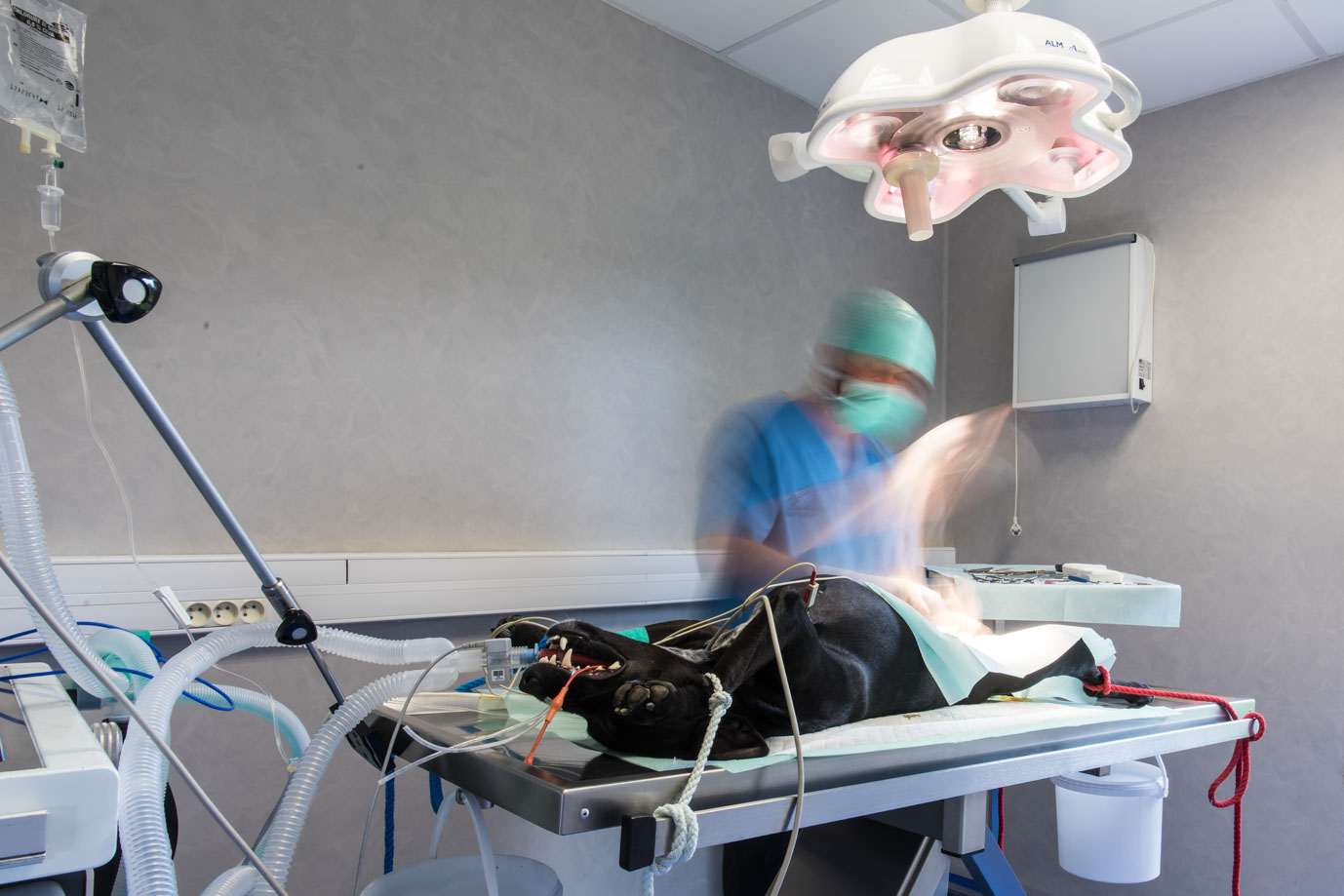 photographie Daniel Michelon