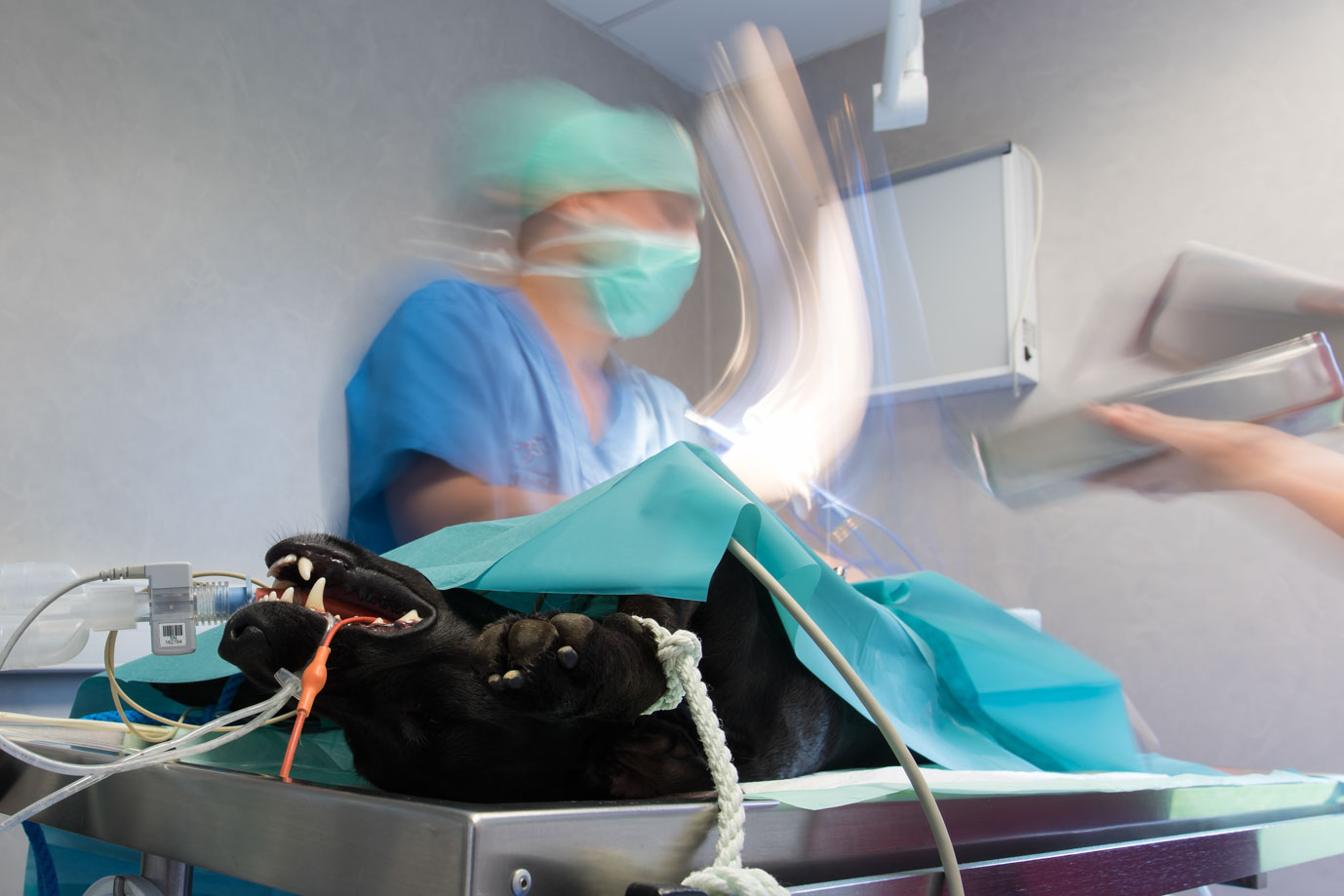 photographie Daniel Michelon