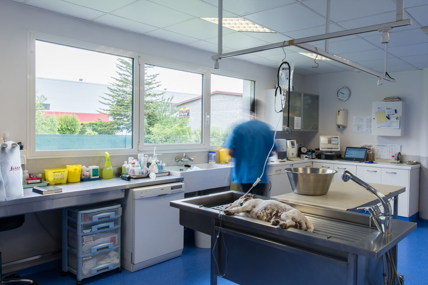 photographie Daniel Michelon