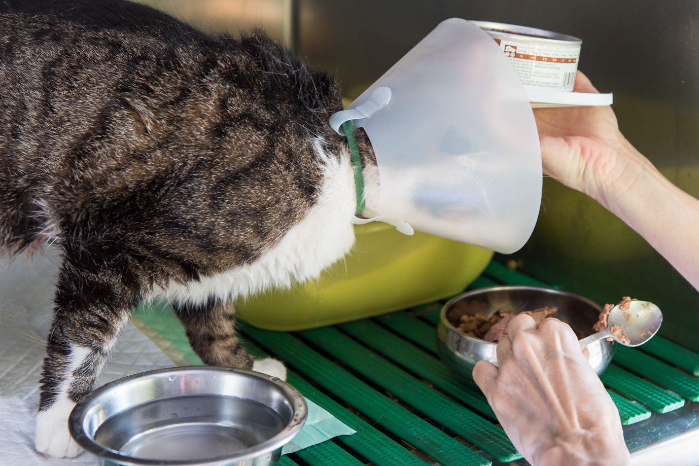 photographie Daniel Michelon