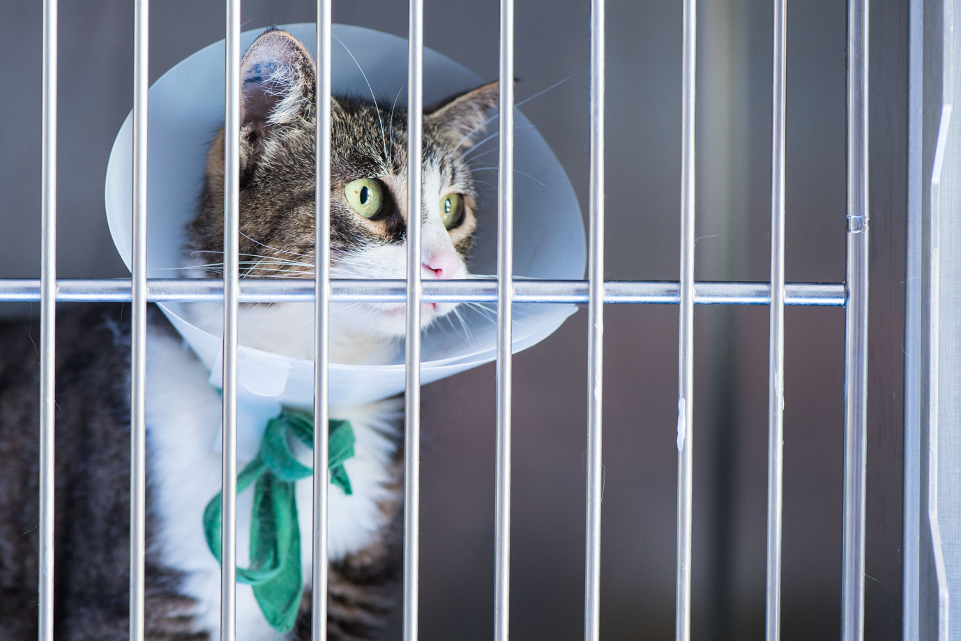 photographie Daniel Michelon