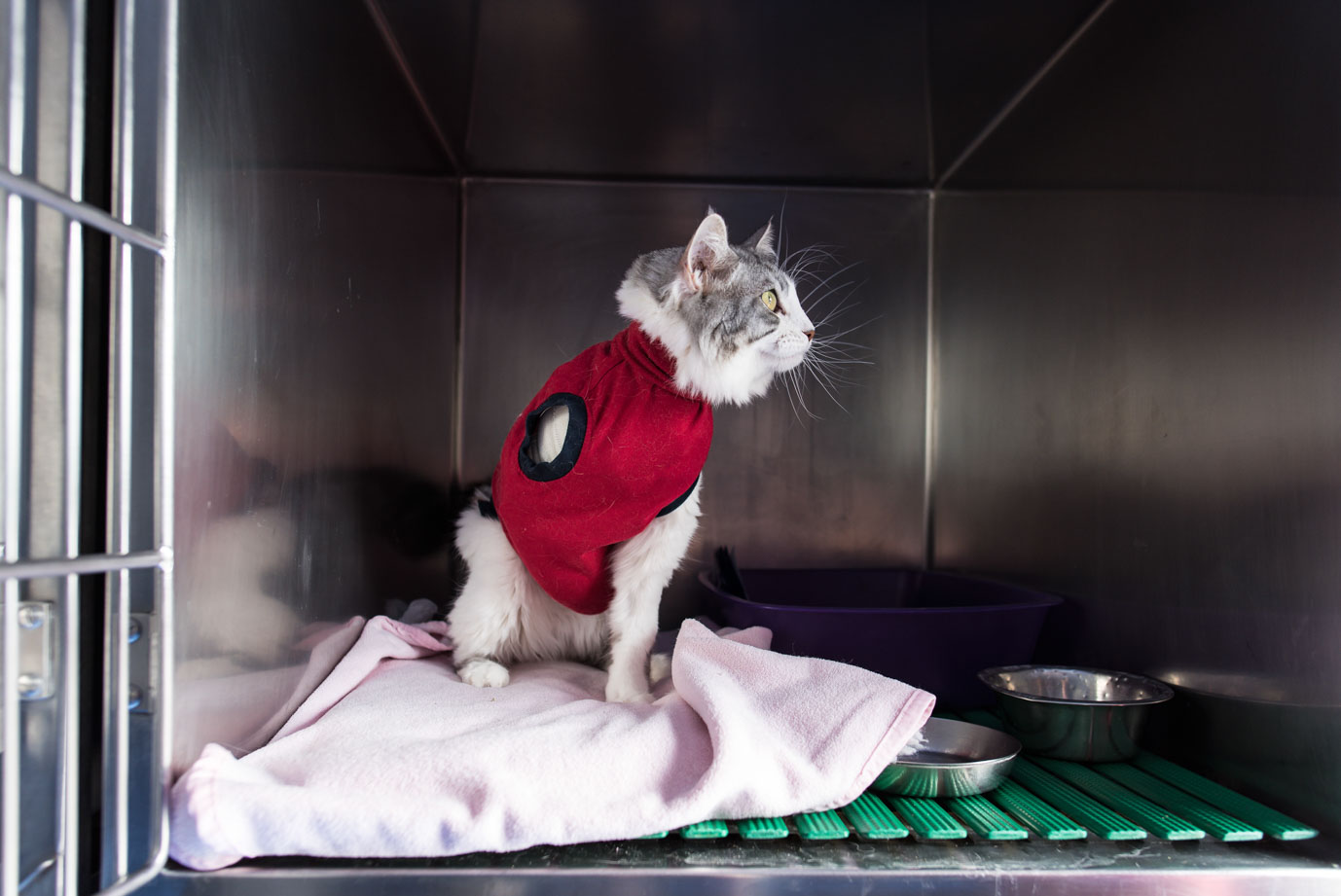 photographie Daniel Michelon