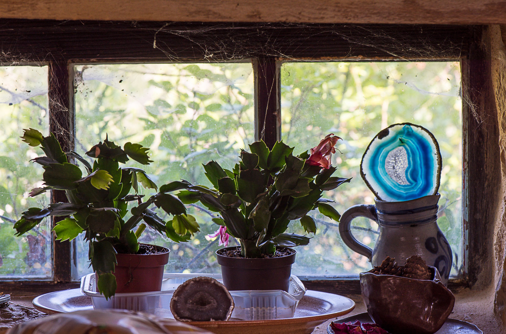 photographie Daniel Michelon