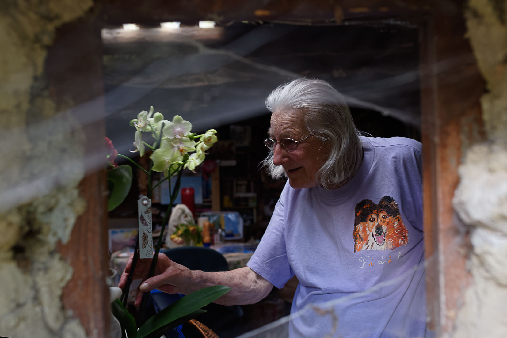 photographie Daniel Michelon