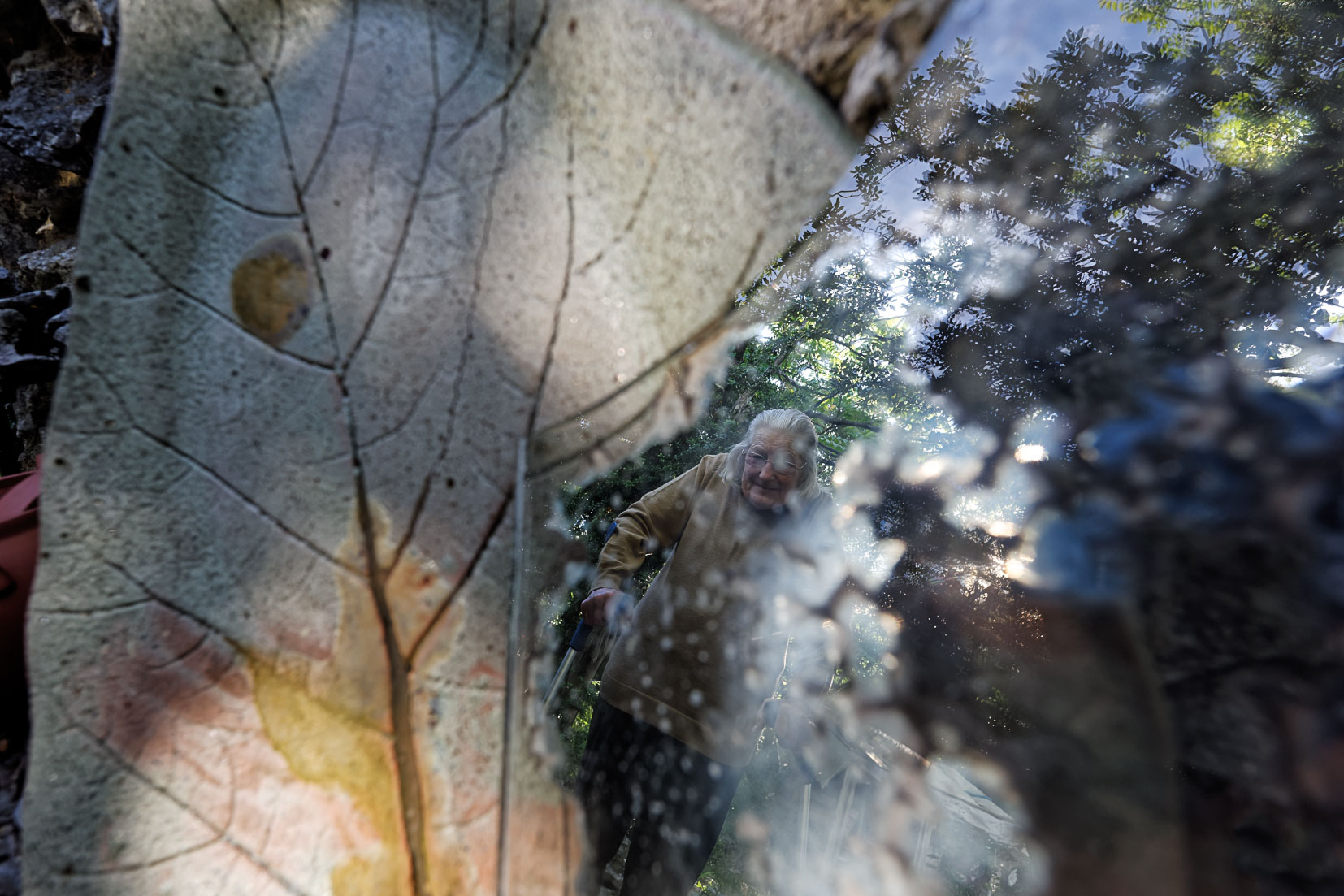 photographie Daniel Michelon