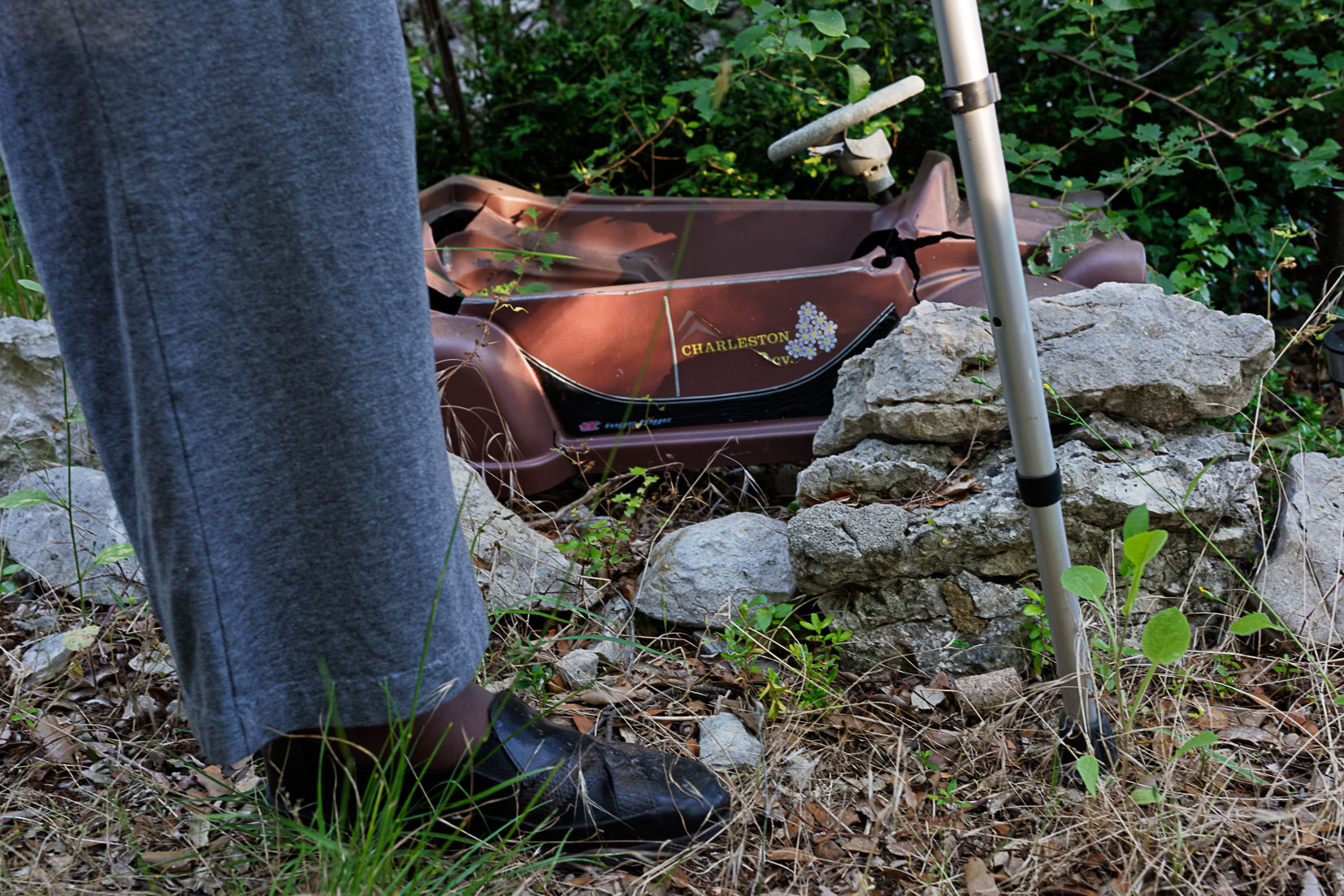 photographie Daniel Michelon