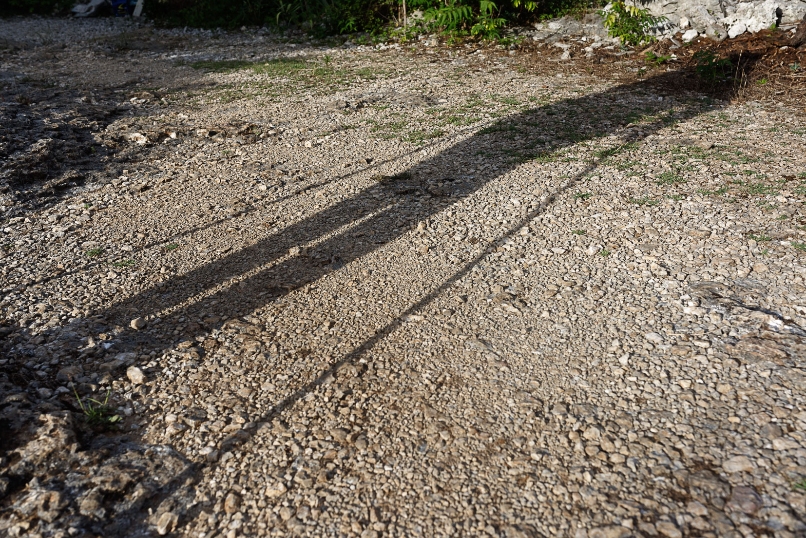 photographie Daniel Michelon