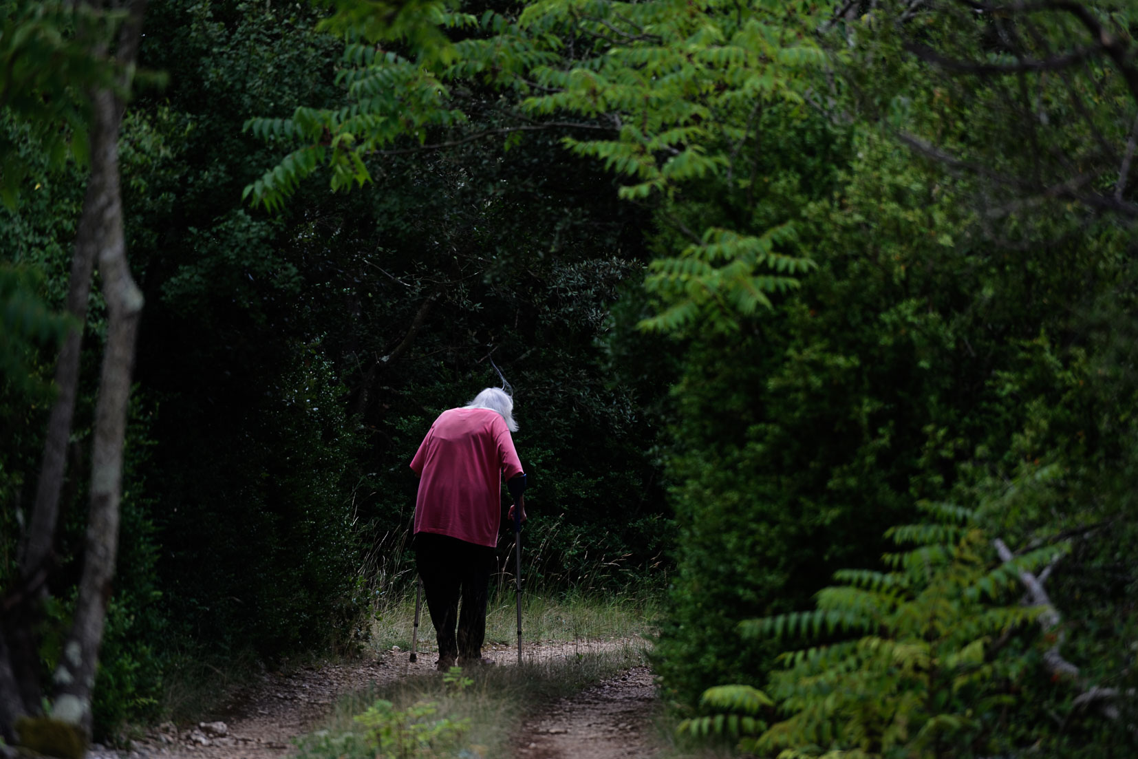 photographie Daniel Michelon