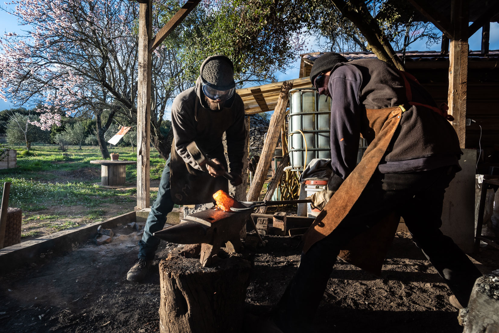 photographie Daniel Michelon