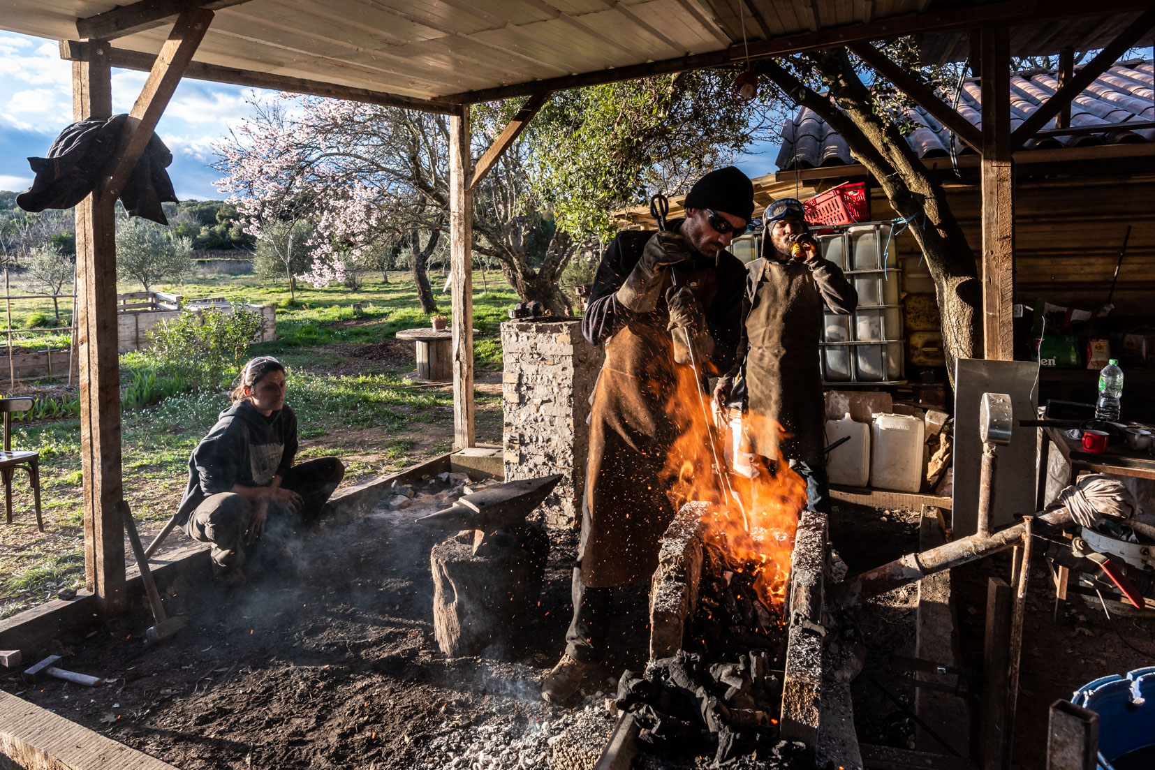 photographie Daniel Michelon