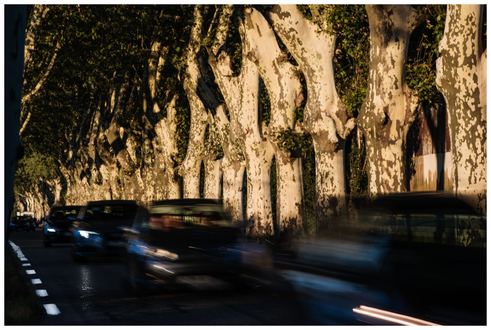 photo Vallée du Rhône Daniel Michelon