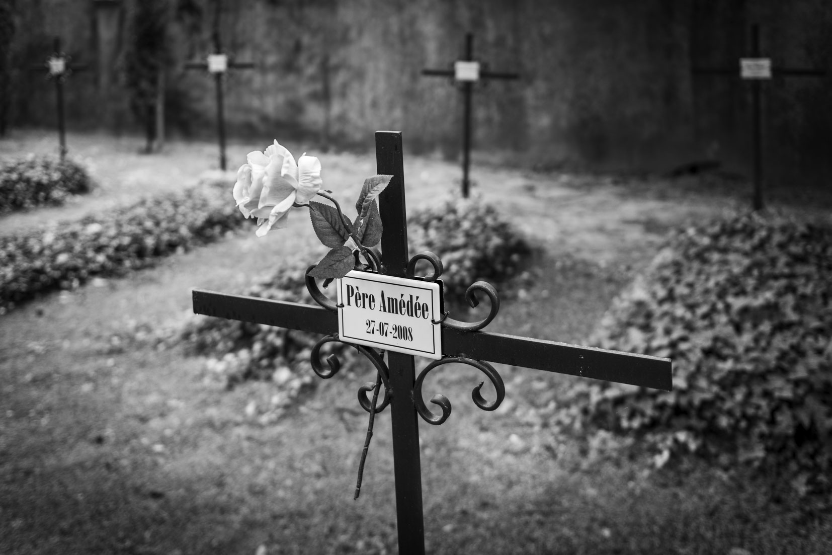 photographie Daniel Michelon