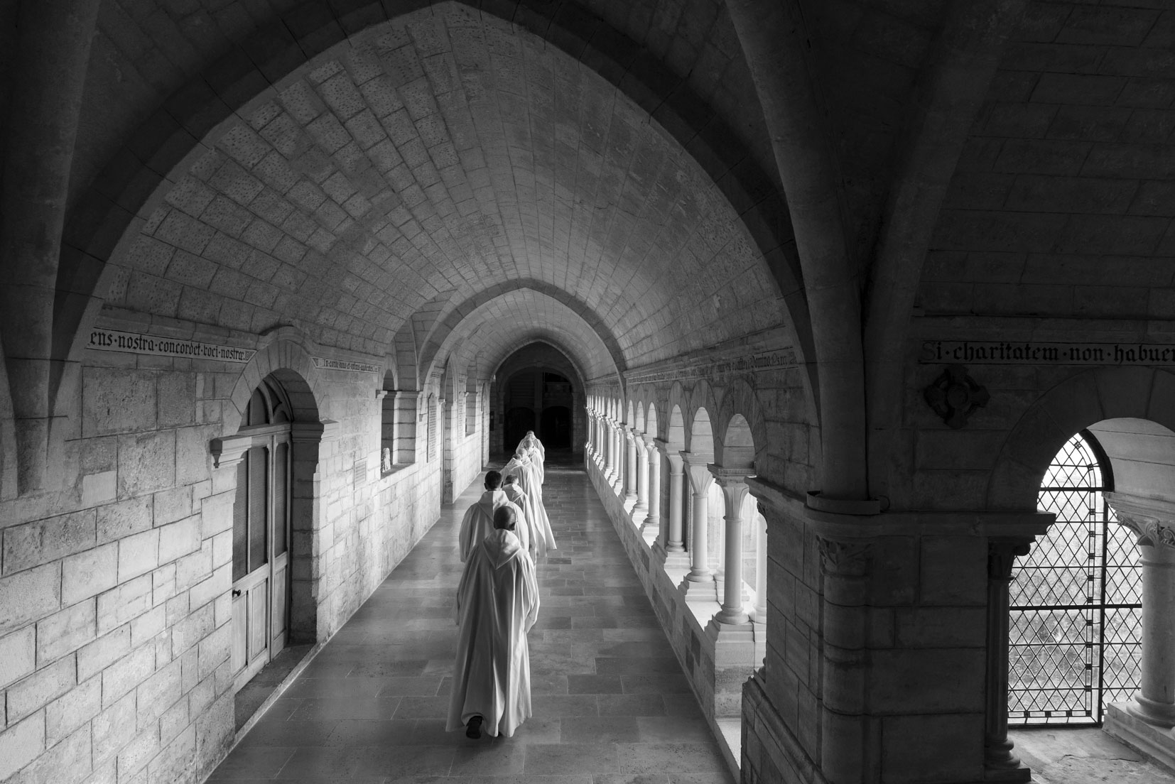 photographie Daniel Michelon