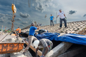 Daniel Michelon Photographe - Métamorphose