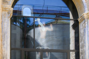 Daniel Michelon Photographe - Métamorphose