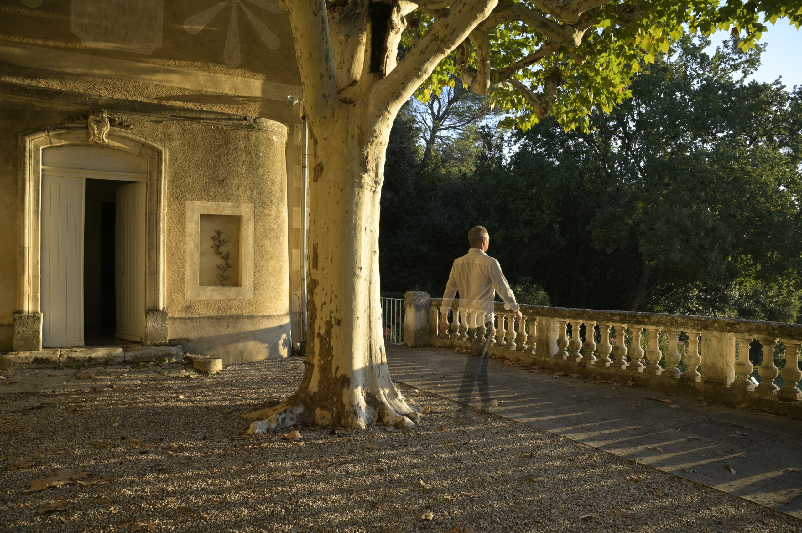 Daniel-Michelon--Guillaume de M 09