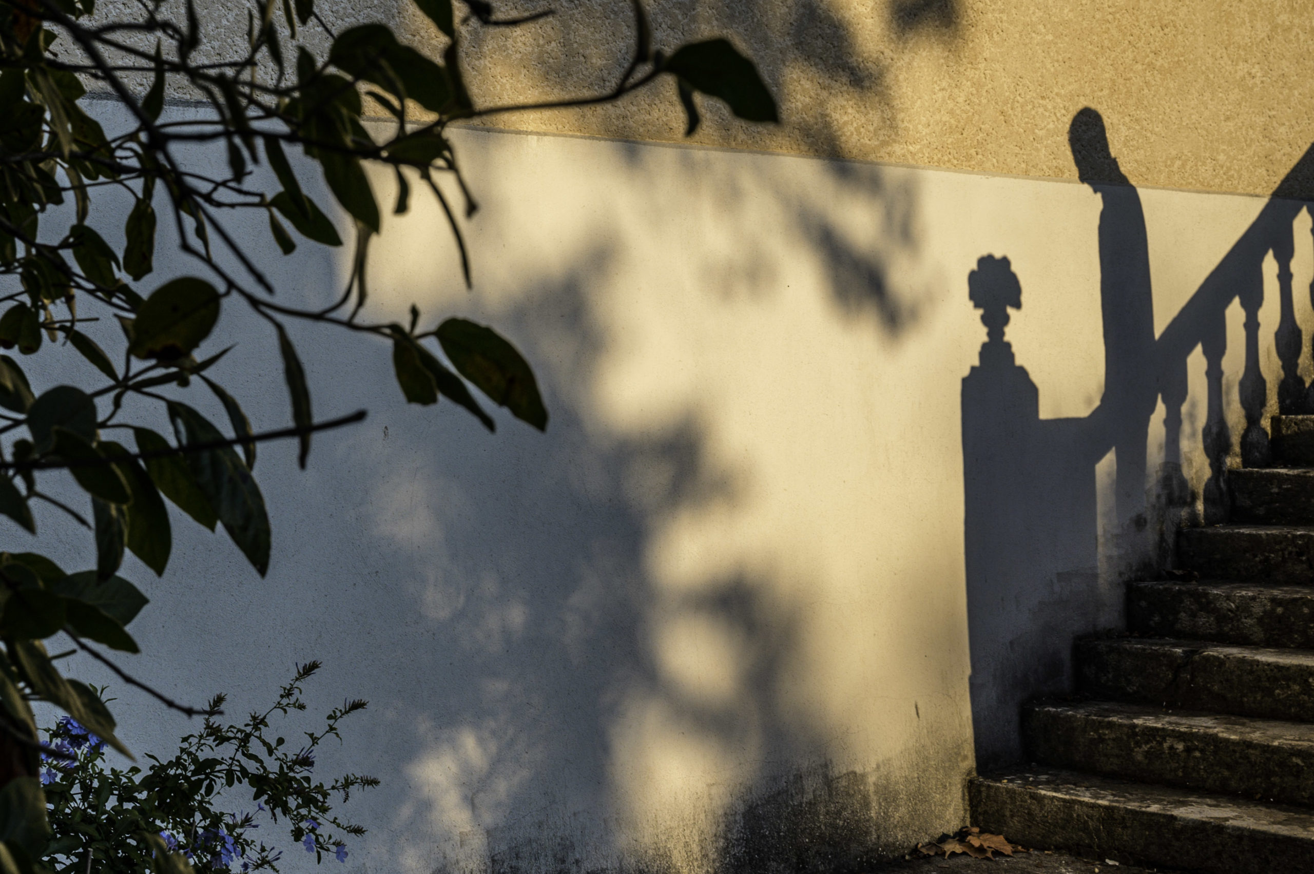 Daniel-Michelon--Guillaume de M 24