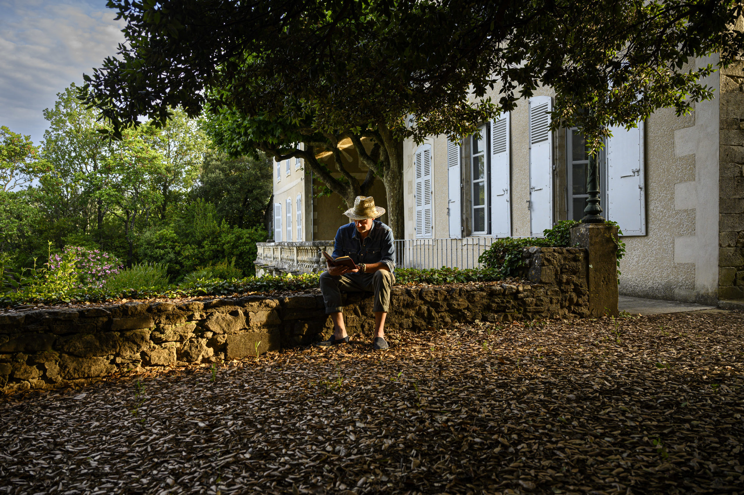 Daniel-Michelon--Guillaume de M 25